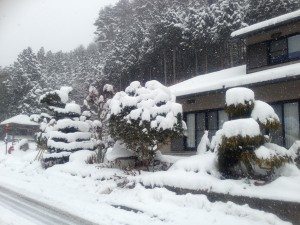 Winter Wonderland