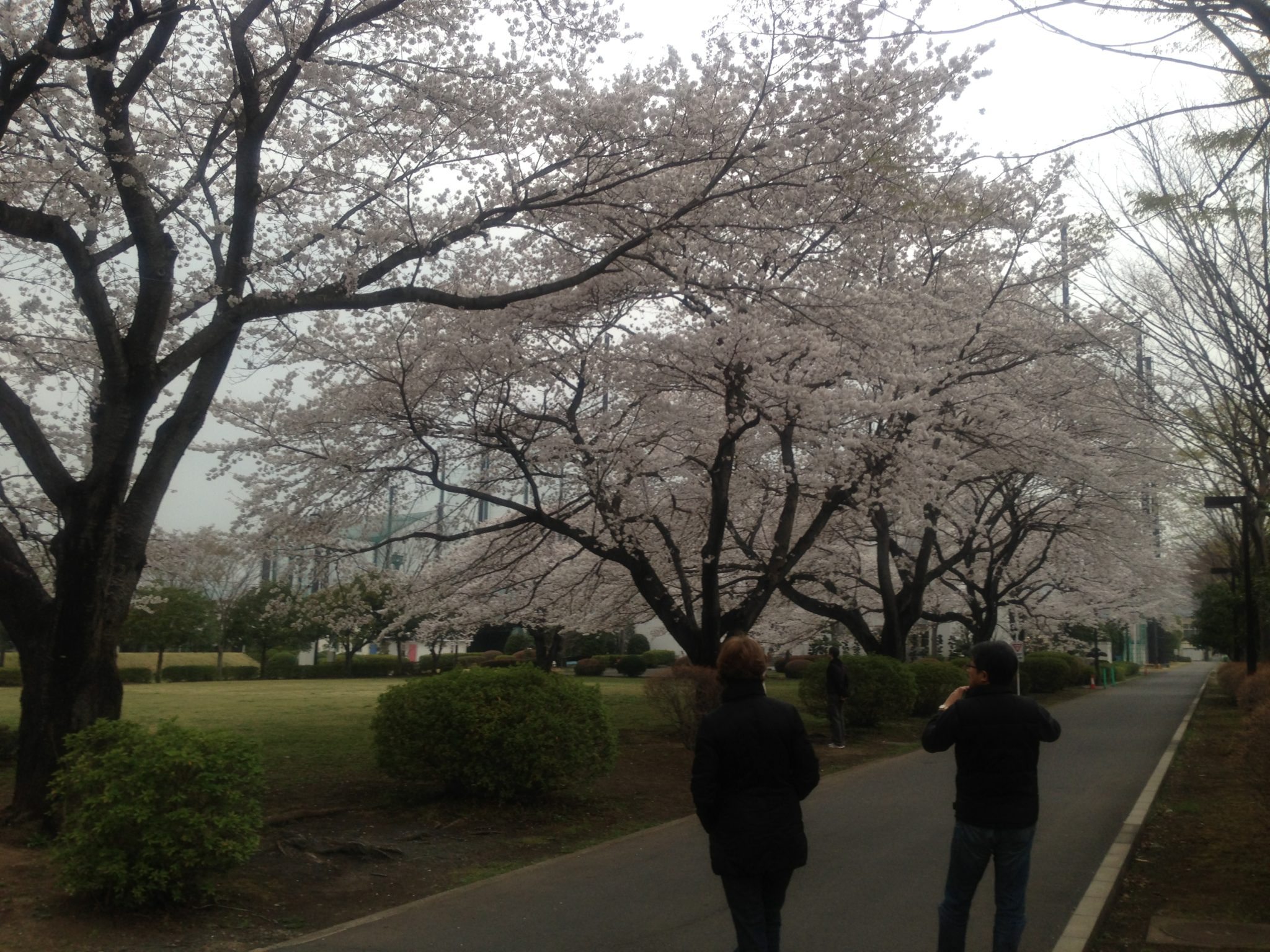 iphone pics 4-2013 177