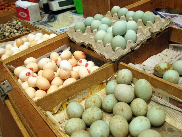 Wholesale Eggs