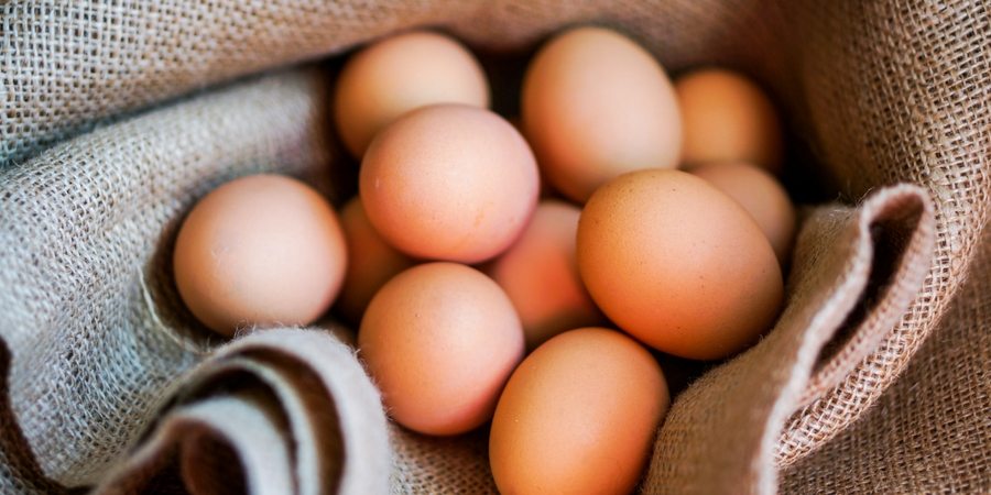 brown eggs - What's up with the eggs | sharonswalkabout.com